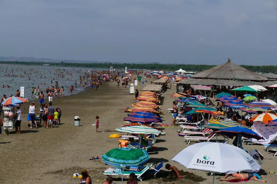 Plazhi i Divjakës